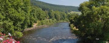 Verken de Natuurpracht van de Belgische Ardennen