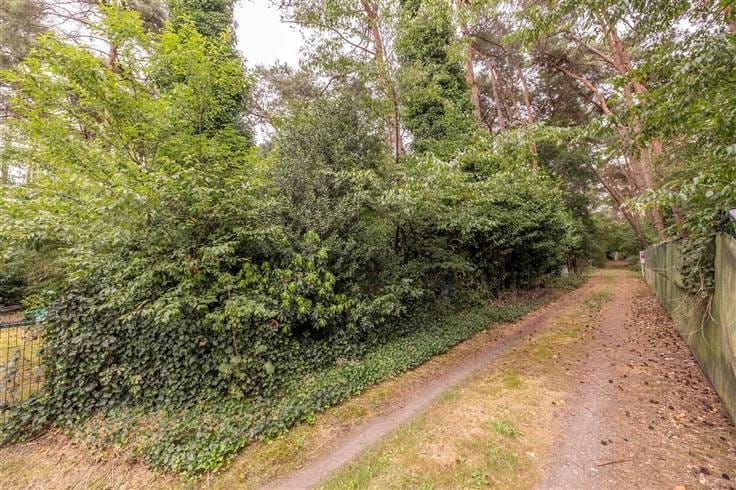 Prachtige bosgrond te koop: Investeer in de natuur!