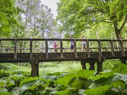 Verken de Natuurpracht van Provinciaal Domein West-Vlaanderen